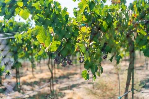 Improved Farmland with Highway Frontage