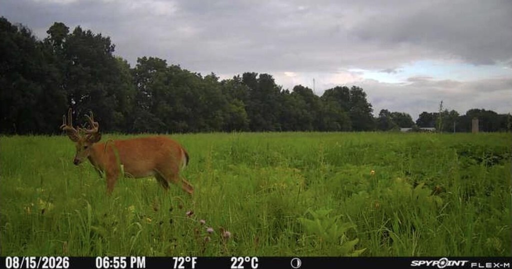 Picture 6