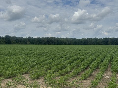 Agricultural Land with Hunting Habitat