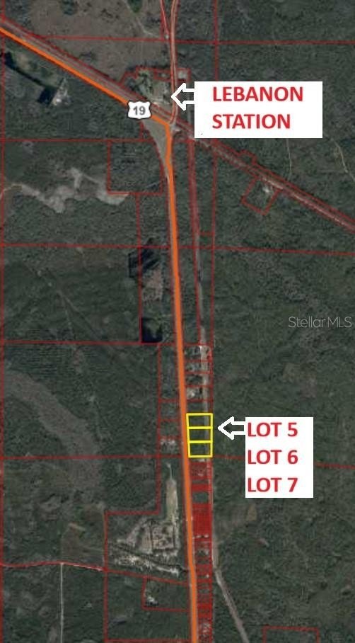 Undeveloped Land on US-19
