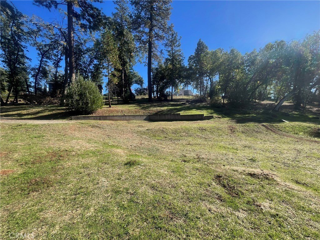 Ready-to-Build Paradise Lot