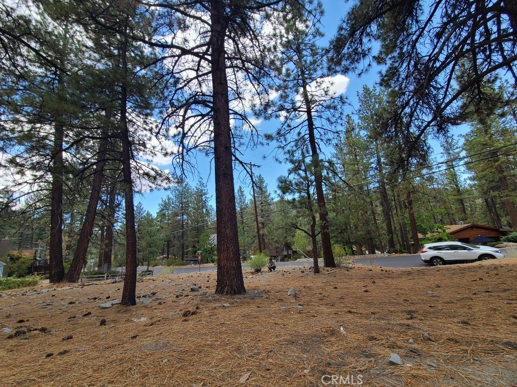 Picture 2