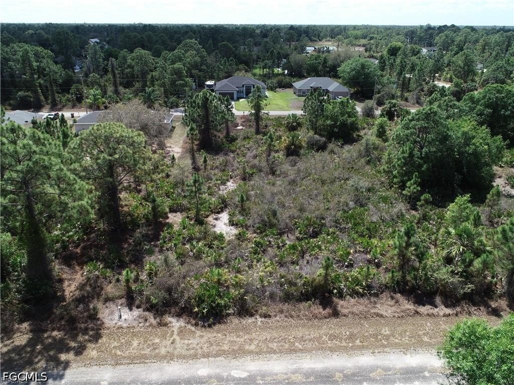 Picture 5