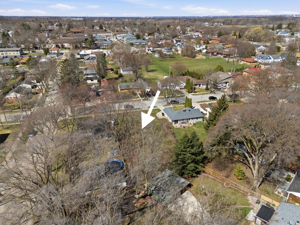 Picture 21