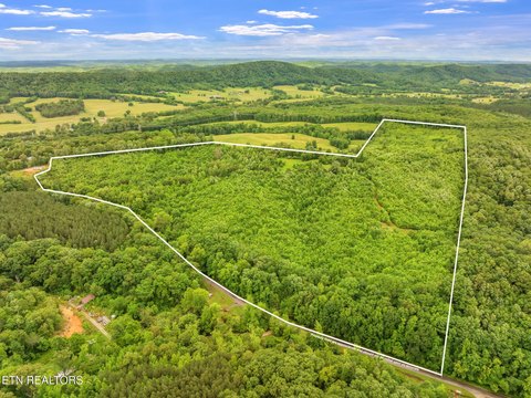 Unrestricted 70 Acres in Kingston, TN