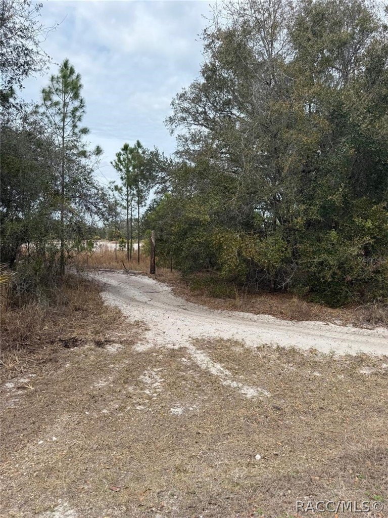 Wooded Acre Lot, No HOA