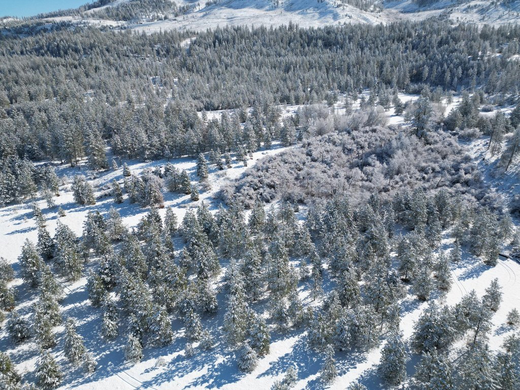 Picture 18