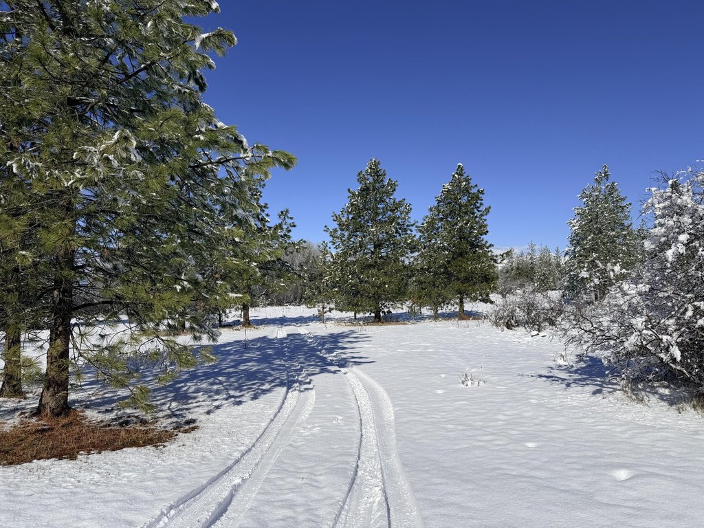 Picture 24