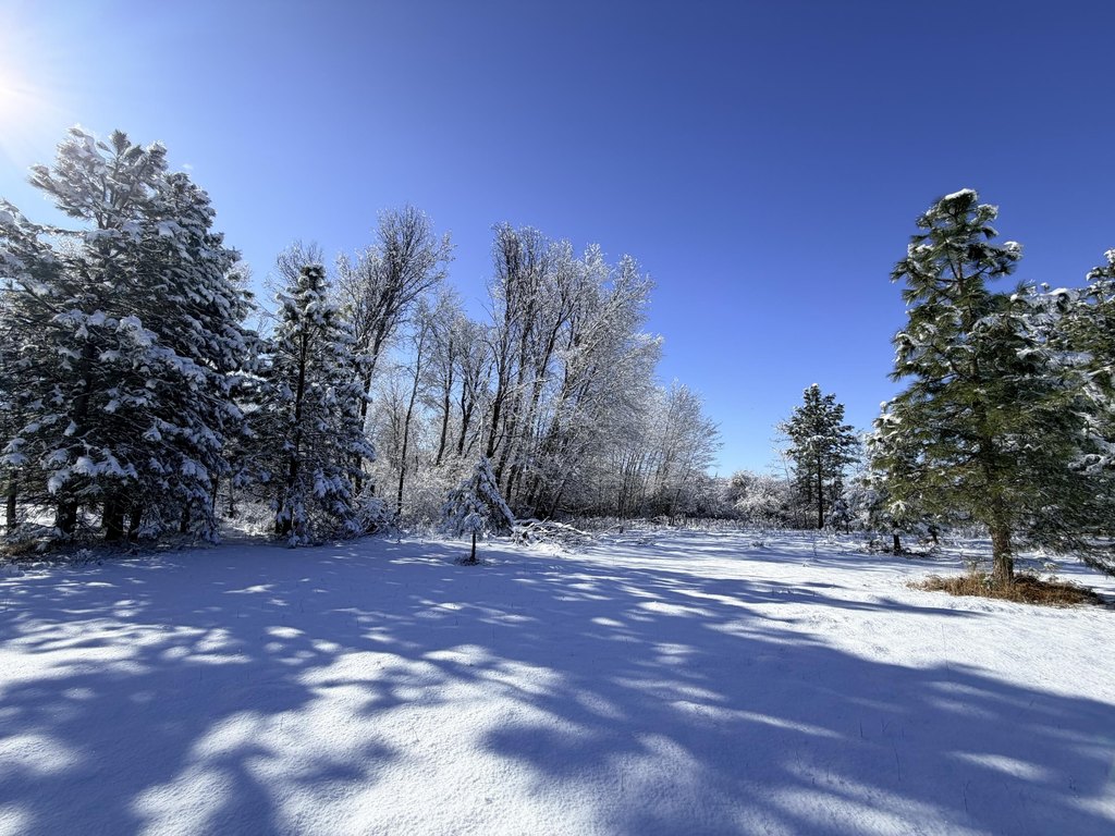 Picture 25