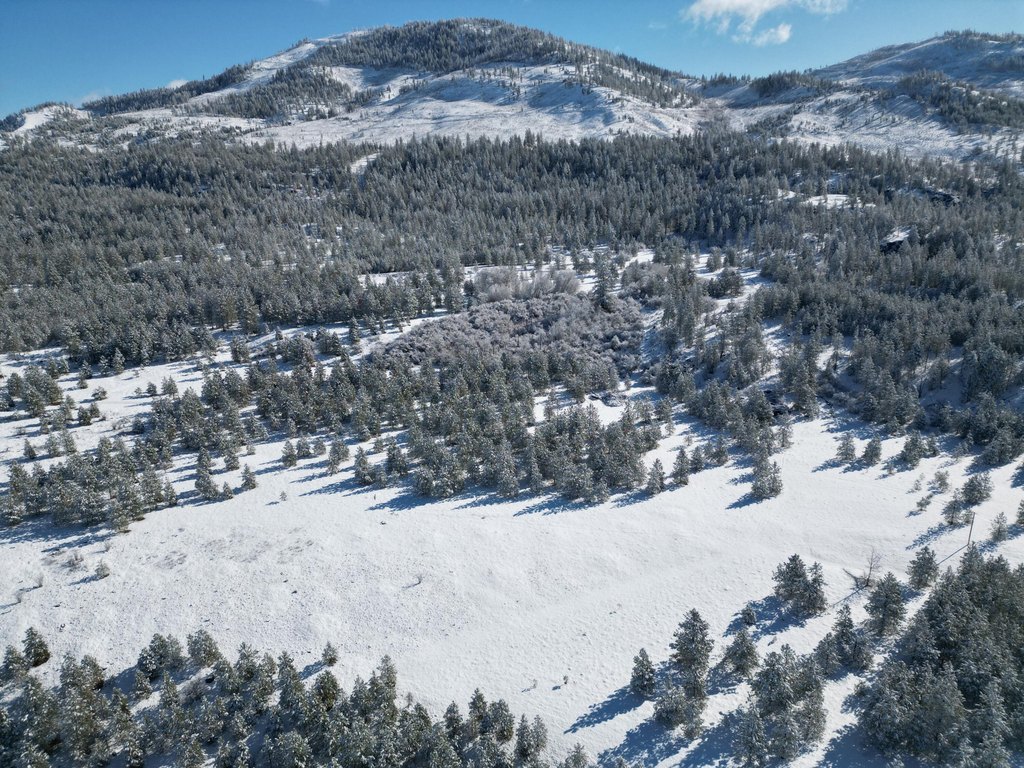 Picture 17