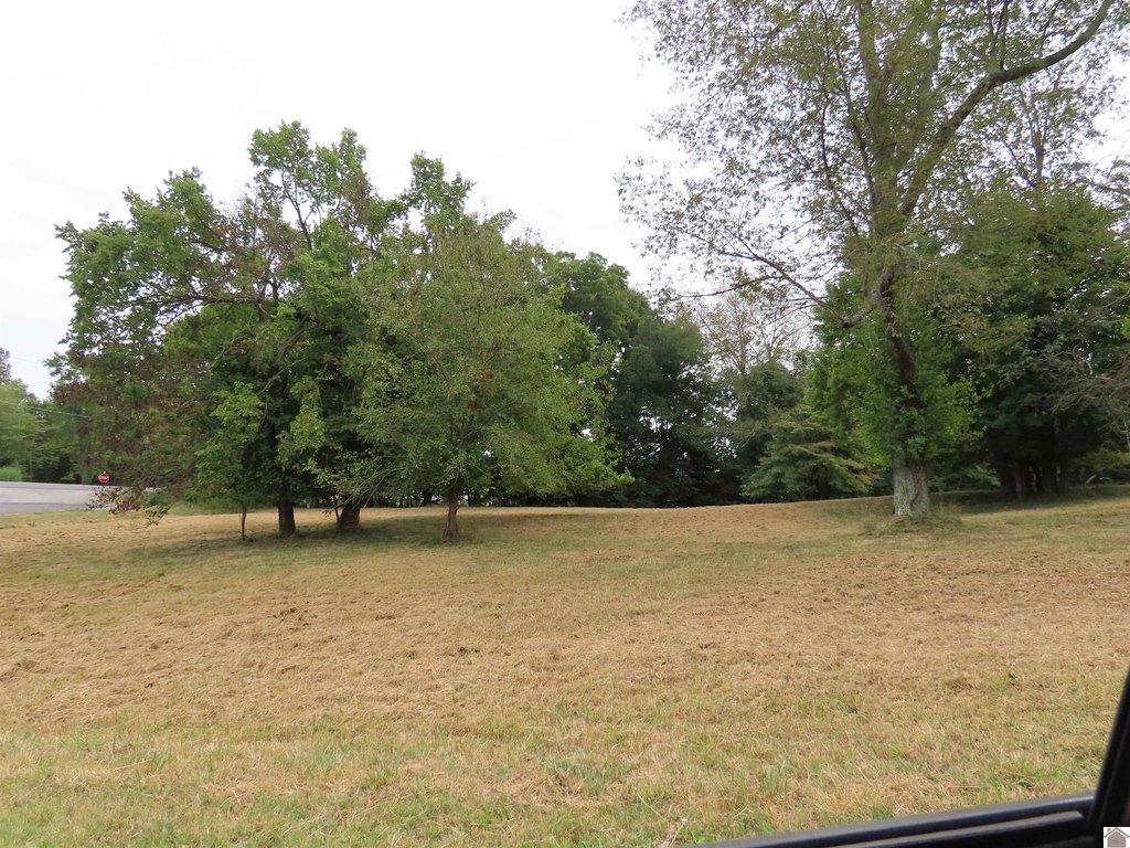 Picture 4
