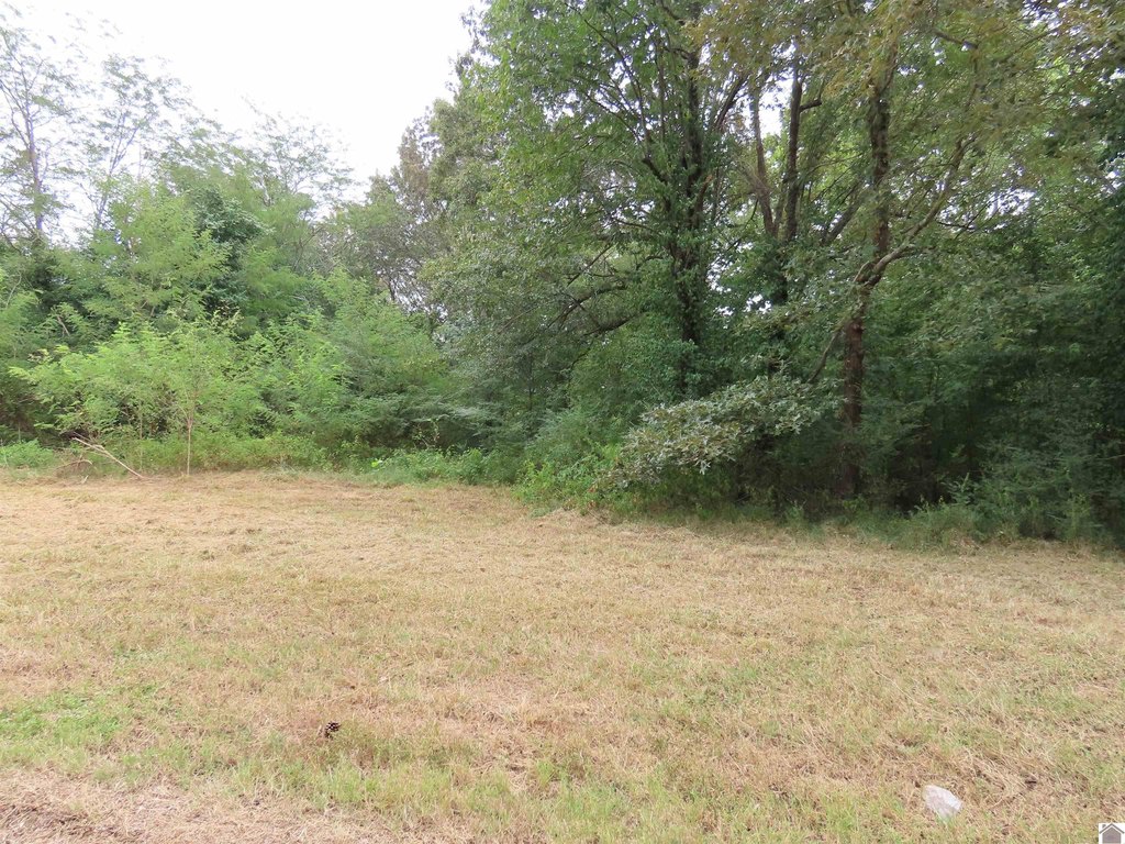 Picture 13