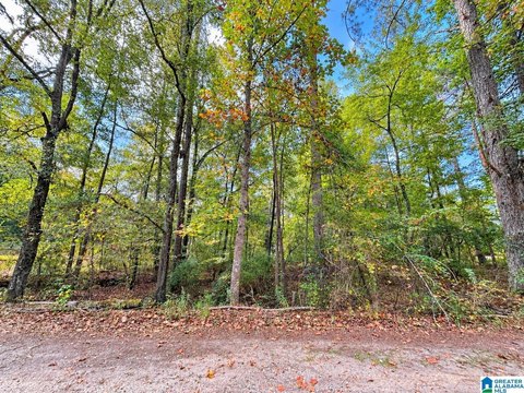 LAND/LOTS, WEDOWEE, AL