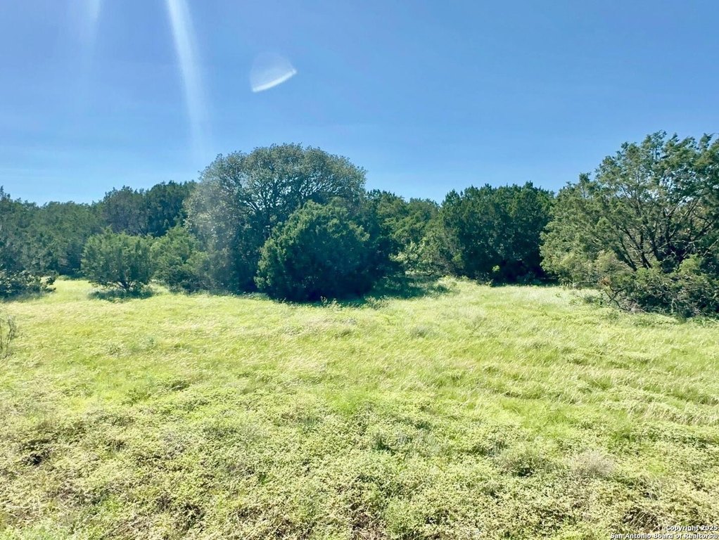 Picture 19