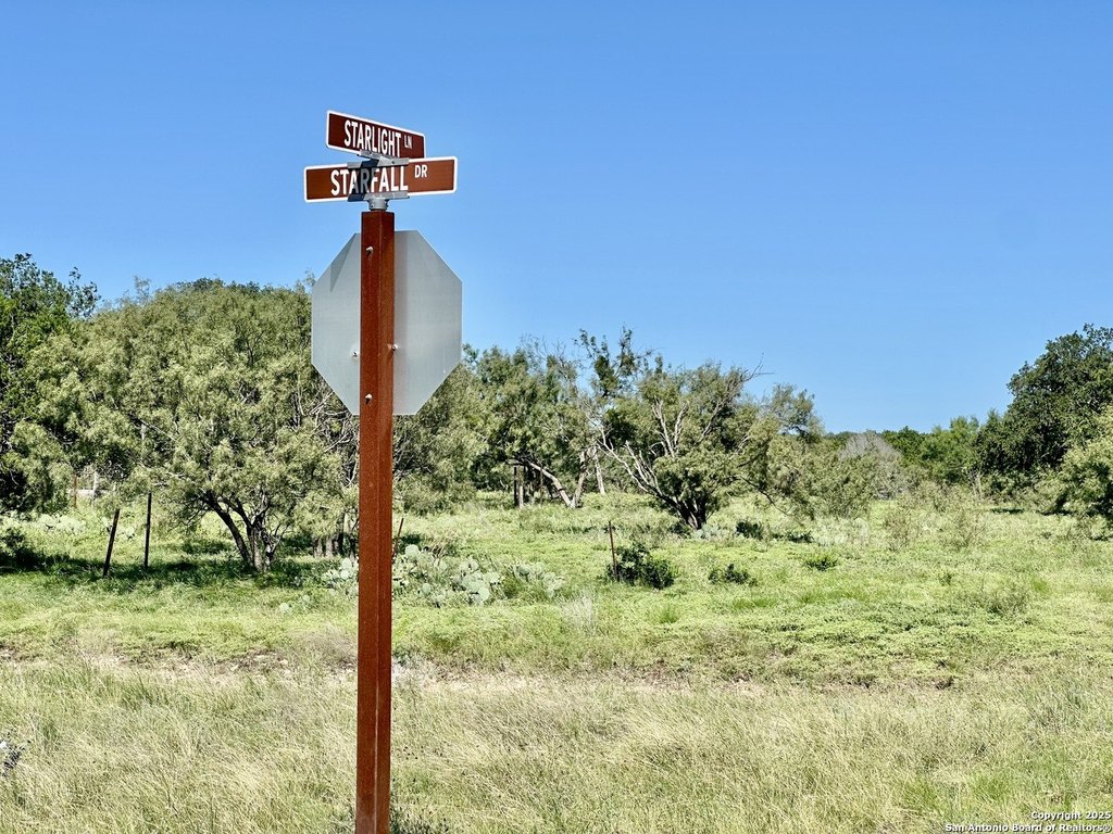 Picture 16