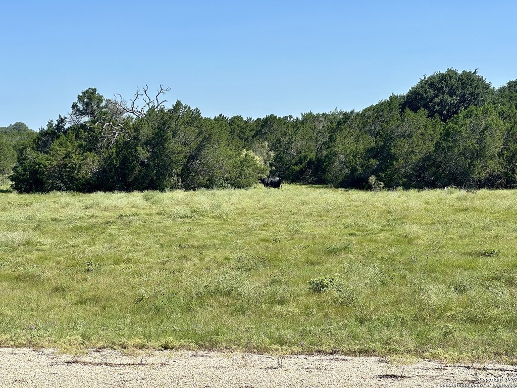 Picture 27