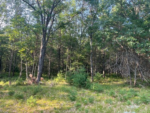 LAND - Oscoda, MI