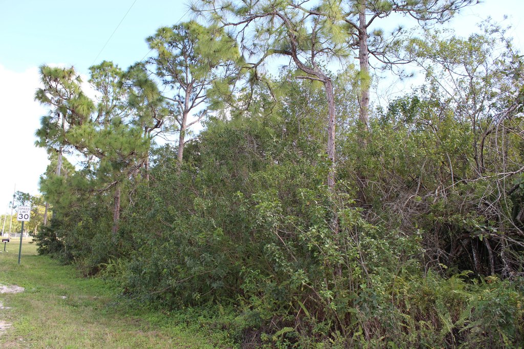 Picture 10