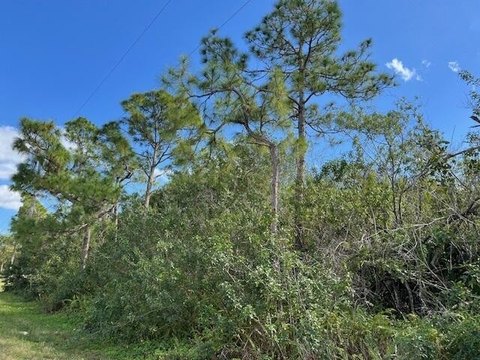 Land & Docks, Loxahatchee, FL