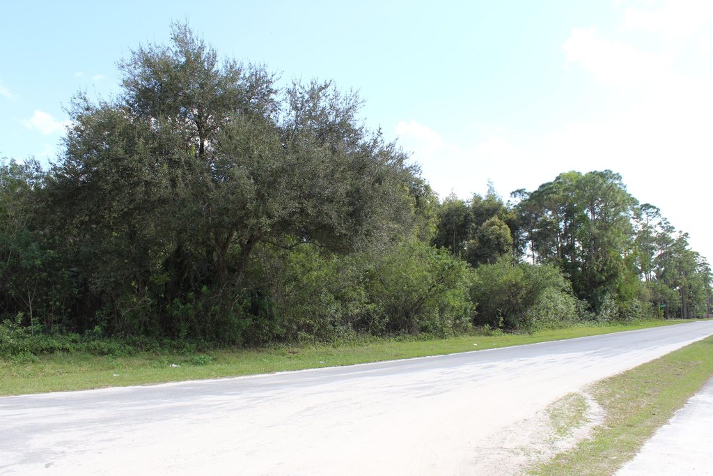 Picture 11