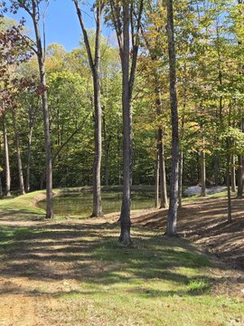 LOTS AND LAND, Solsberry, IN