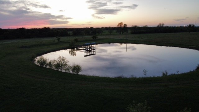 Picture 12