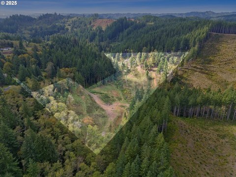 Coastal Land with Salmon Creek
