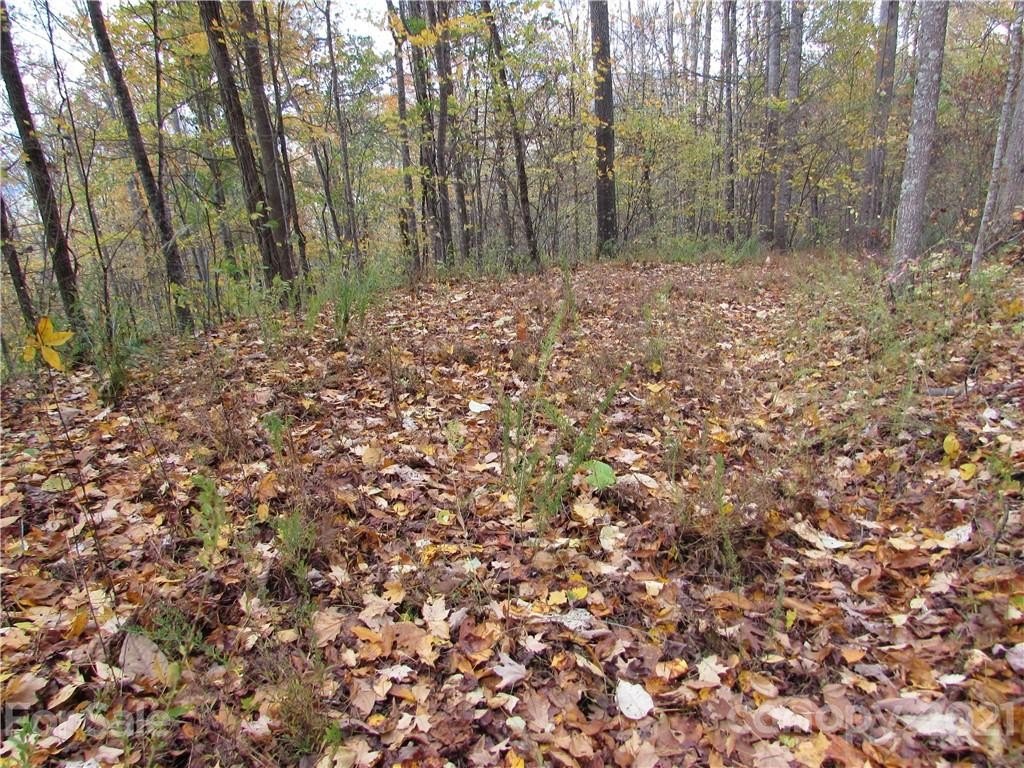 Mars Hill Land For Sale