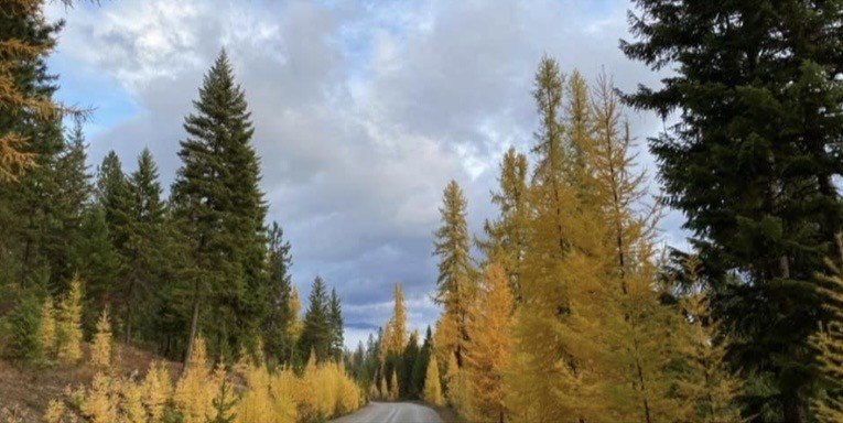 Picture 18