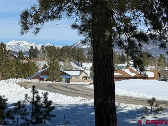 Picture 9