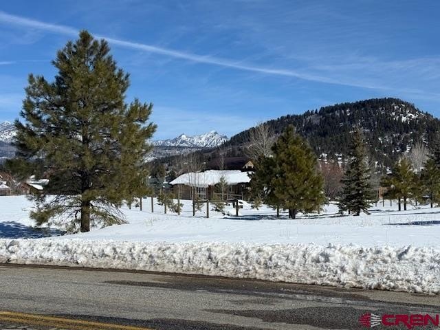 Picture 4