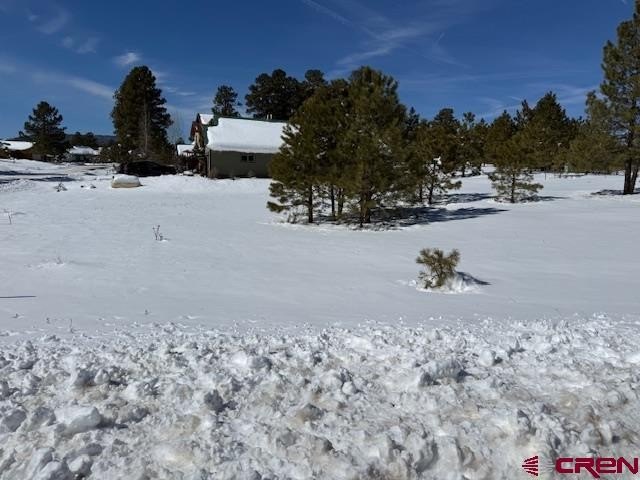 Picture 16