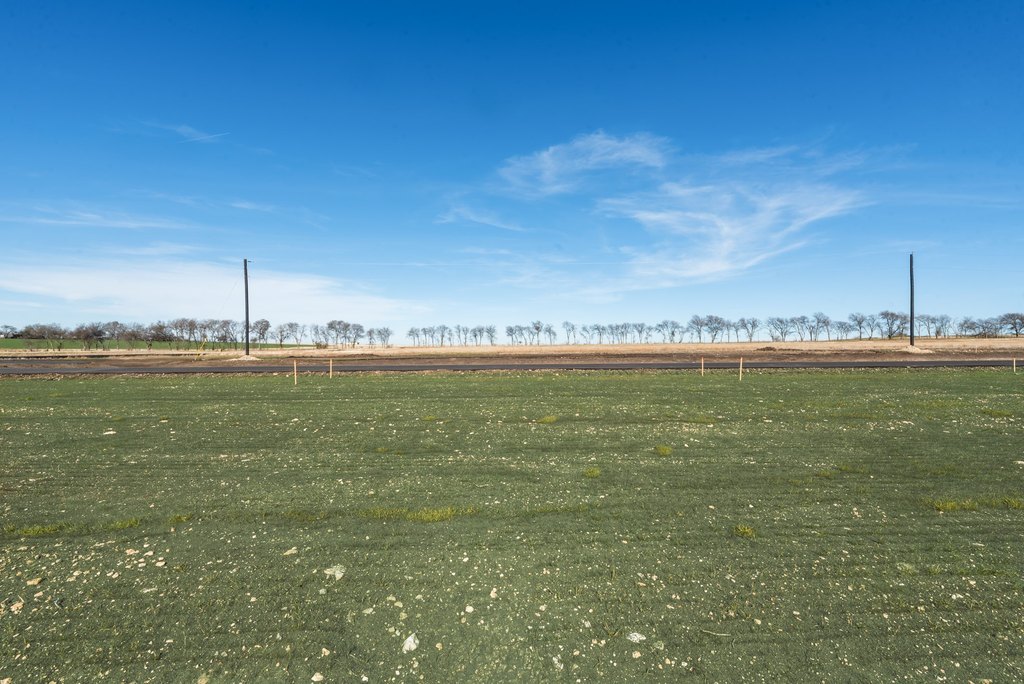 Picture 9