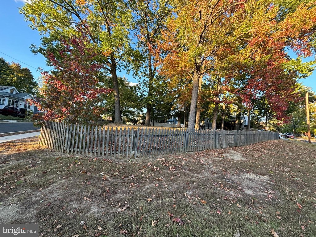 Picture 14