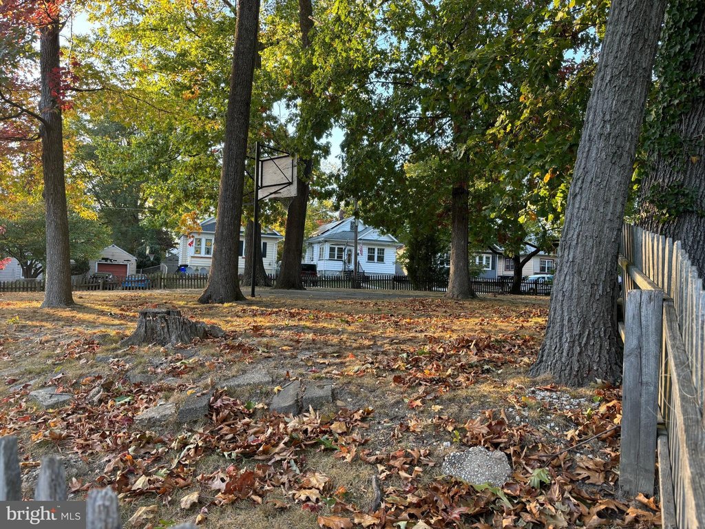 Picture 8