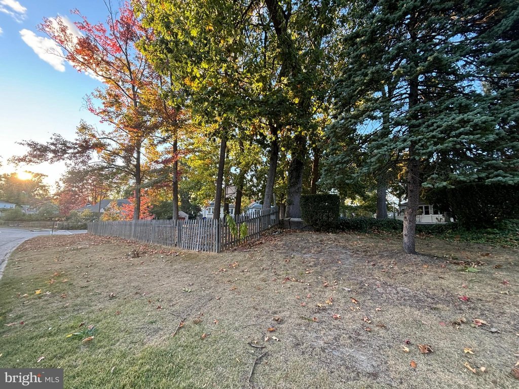 Picture 3
