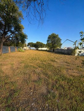 Land -40, Muleshoe, TX