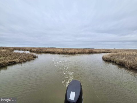 Acreage for Hunting Sika Deer