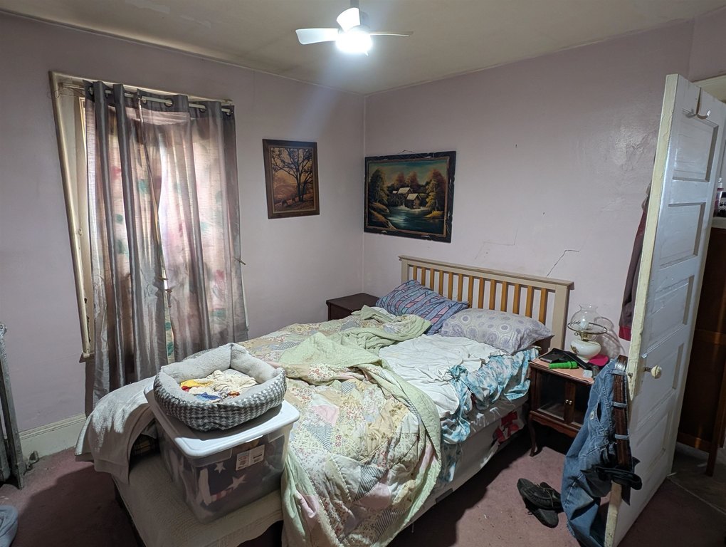 Picture 13