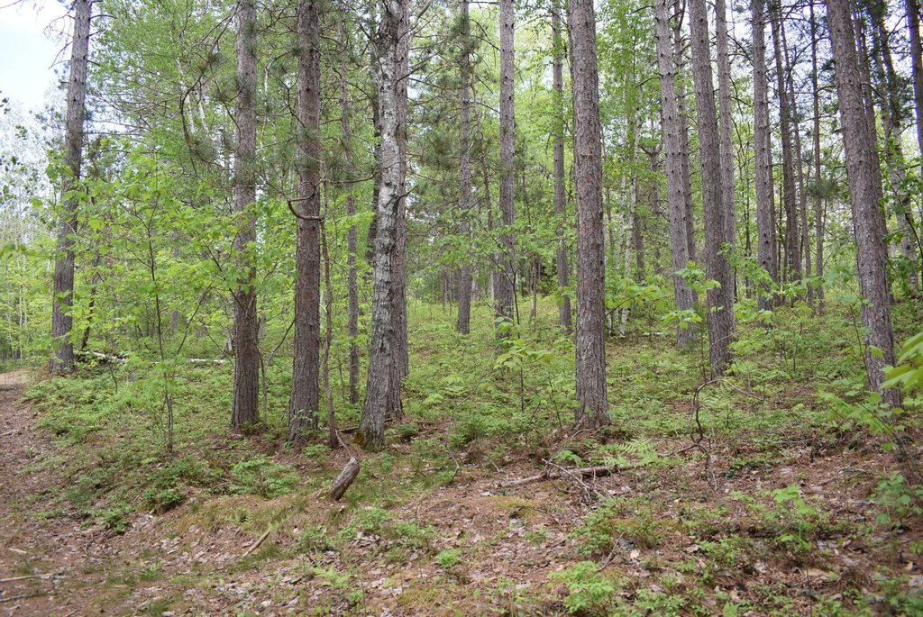 Picture 17