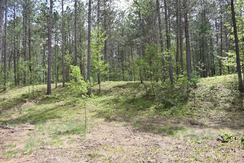 Picture 27