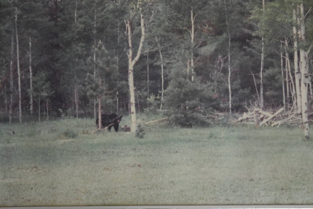 Picture 44