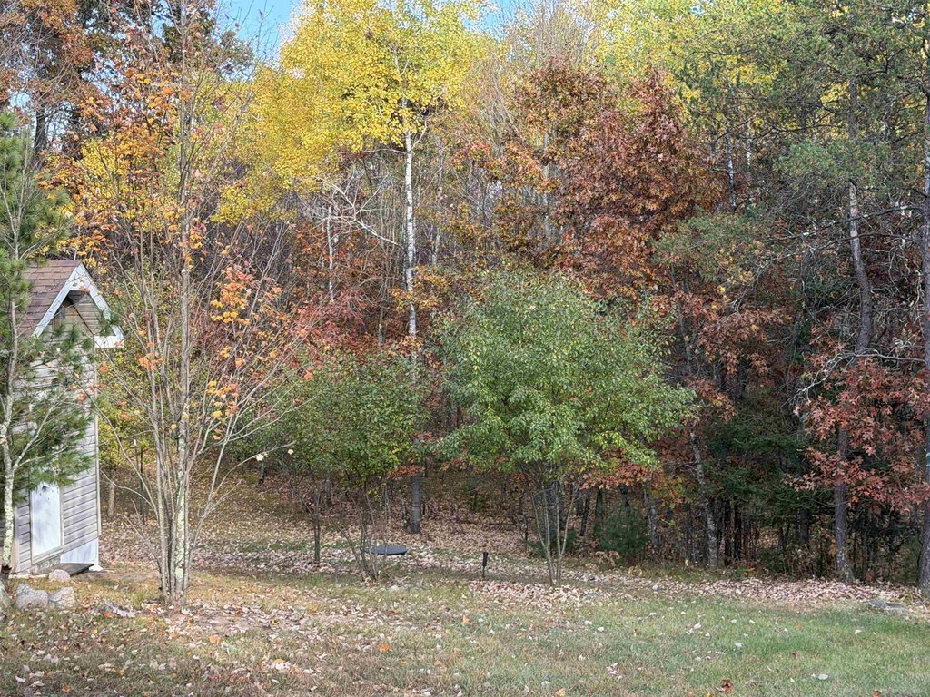 Picture 17