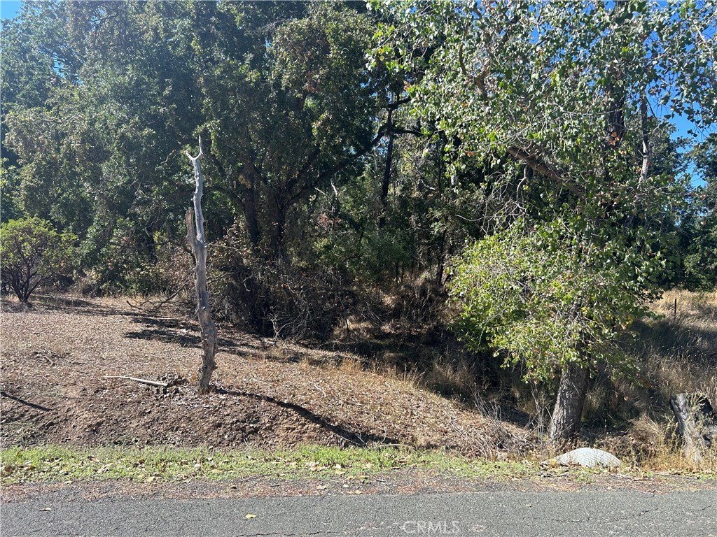 Picture 14