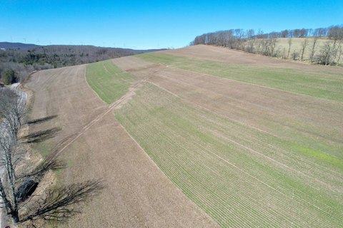 Tillable Land with Natural Spring