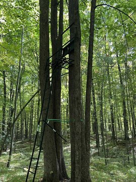 Land, WAUSAUKEE, WI
