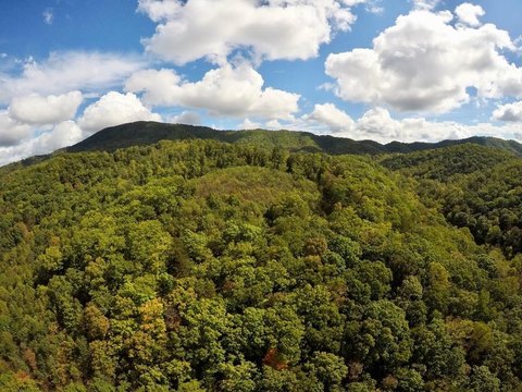 Hunting & Recreation Land in Troutville