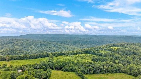 Hunting Land with Stream and Internal Roads