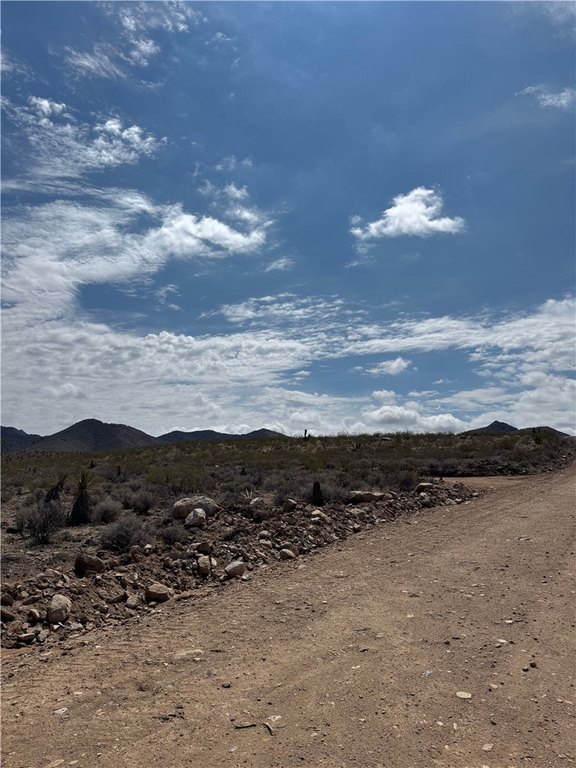 Picture 20