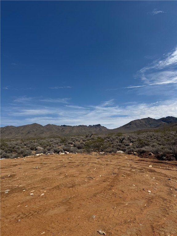 Picture 21